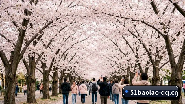 欢迎潜入阵地, 开启反击资本喂屎的全新冲浪体验